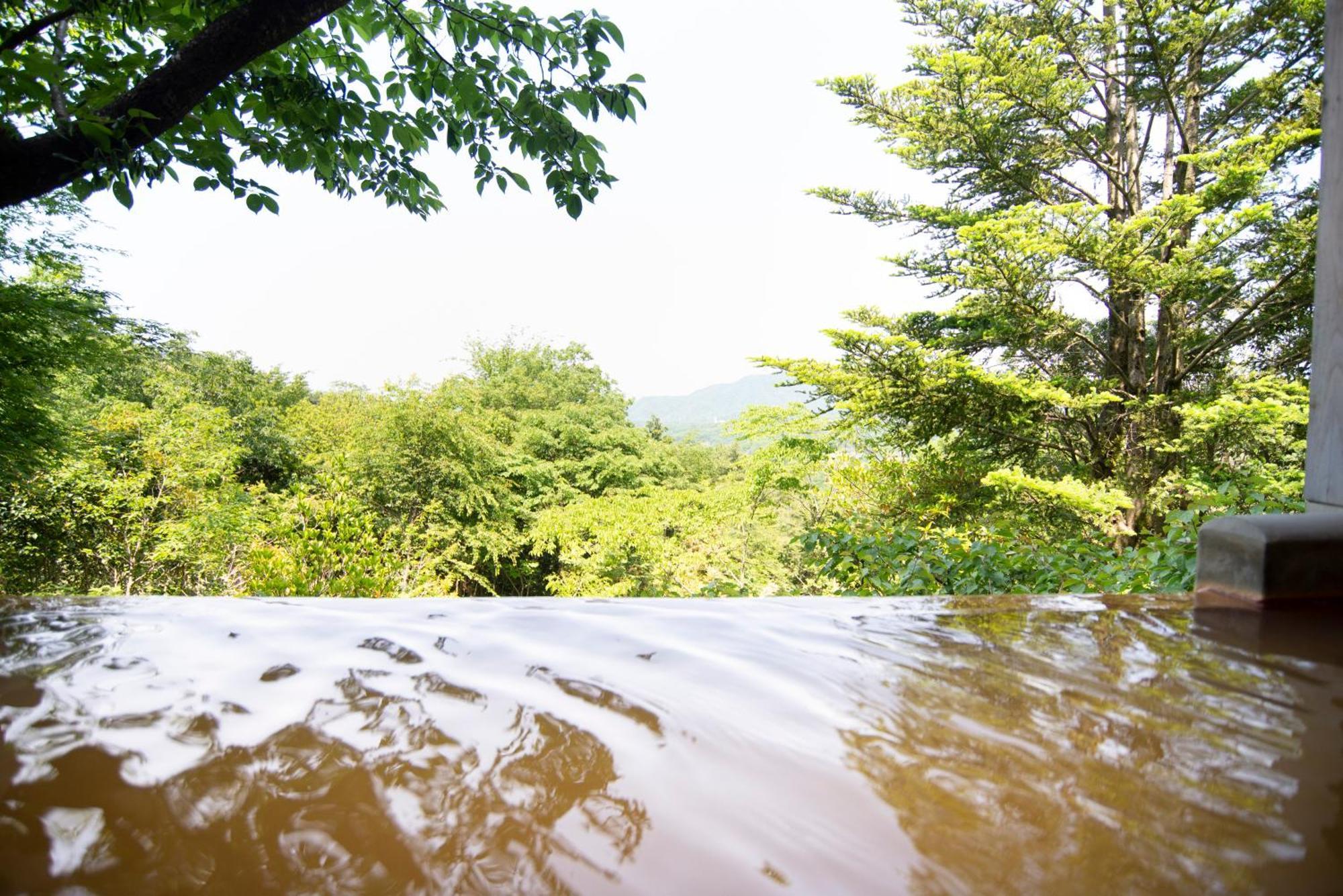 Arima Onsen Motoyu Ryuusenkaku Hotel Kobe Bilik gambar