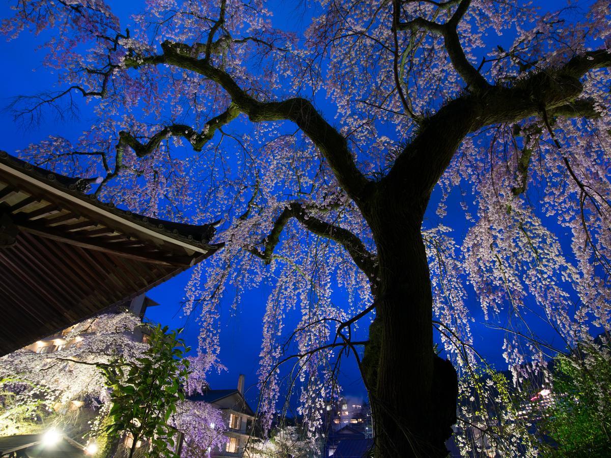 Arima Onsen Motoyu Ryuusenkaku Hotel Kobe Luaran gambar